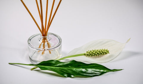 Aroma Therapy