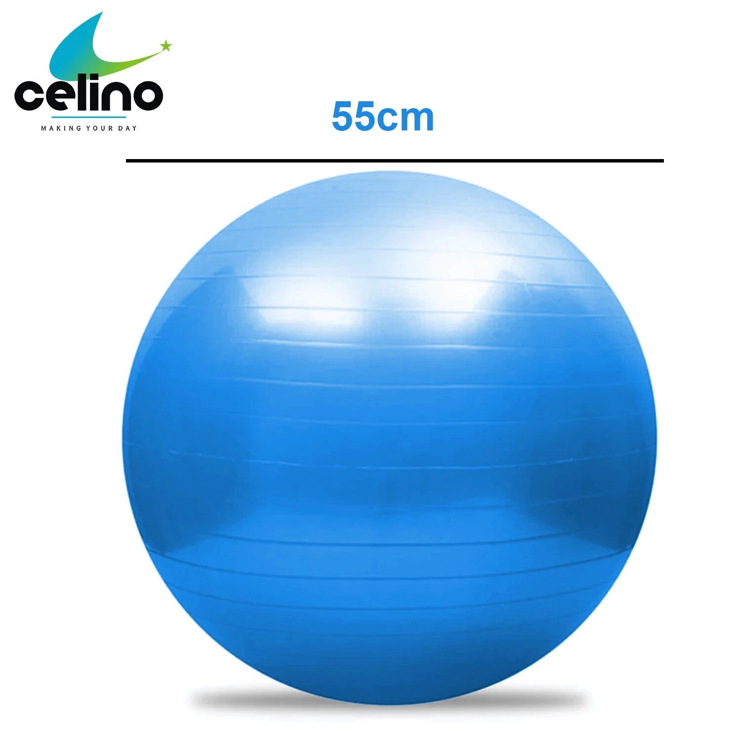 Gym Ball Exercise Fitness Yoga 55cm 65cm 75cm Fitness Pregnancy Swiss Pilates
