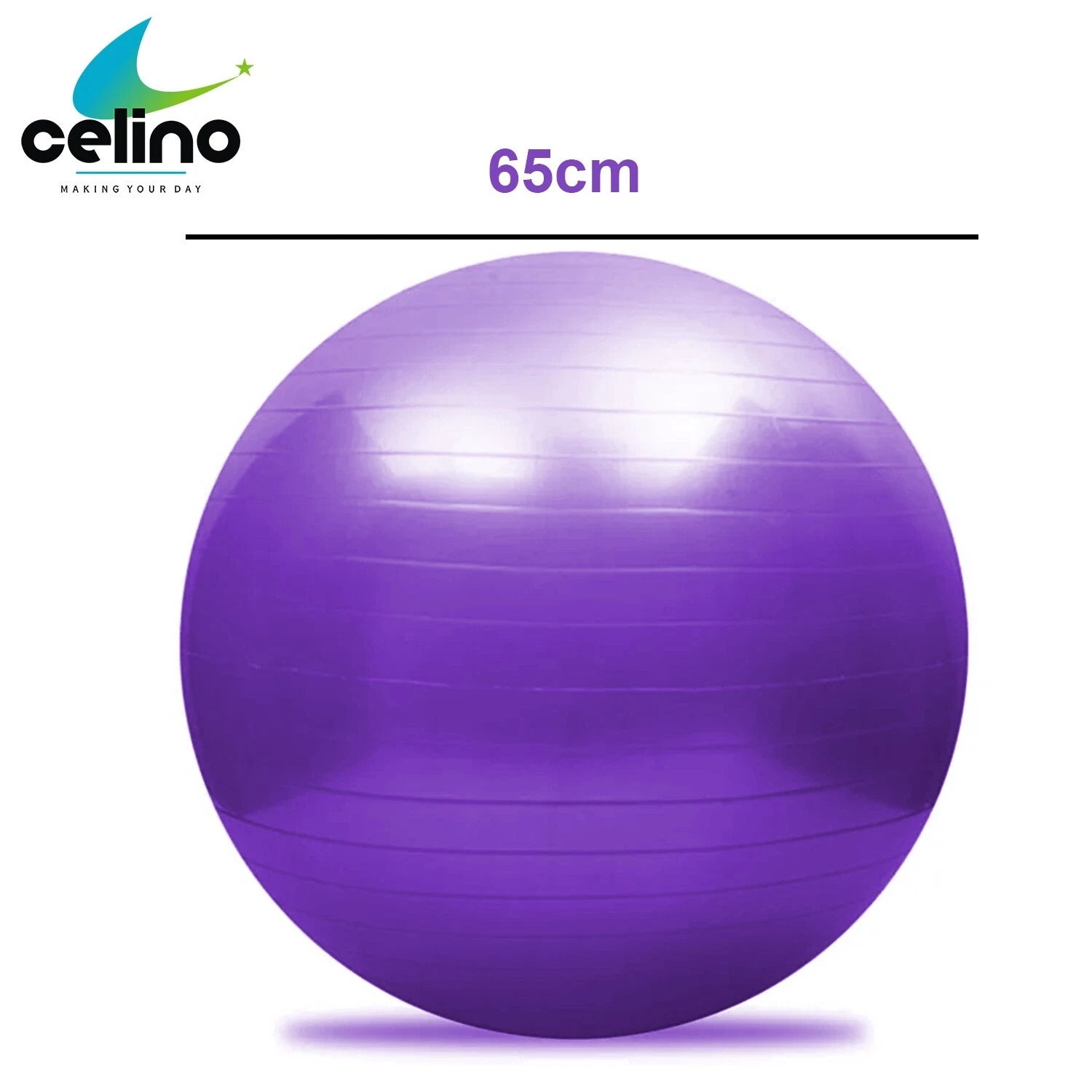 Gym Ball Exercise Fitness Yoga 55cm 65cm 75cm Fitness Pregnancy Swiss Pilates