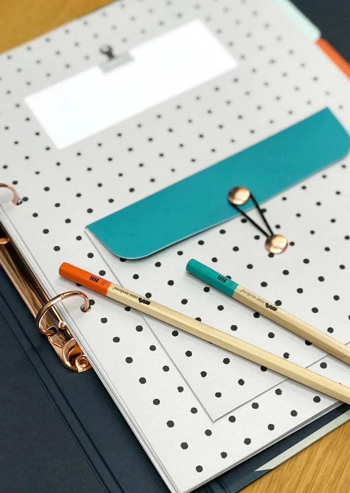 A4 Ring Binder File Folder Storage Case 2 Ring Documents Paper Office School
