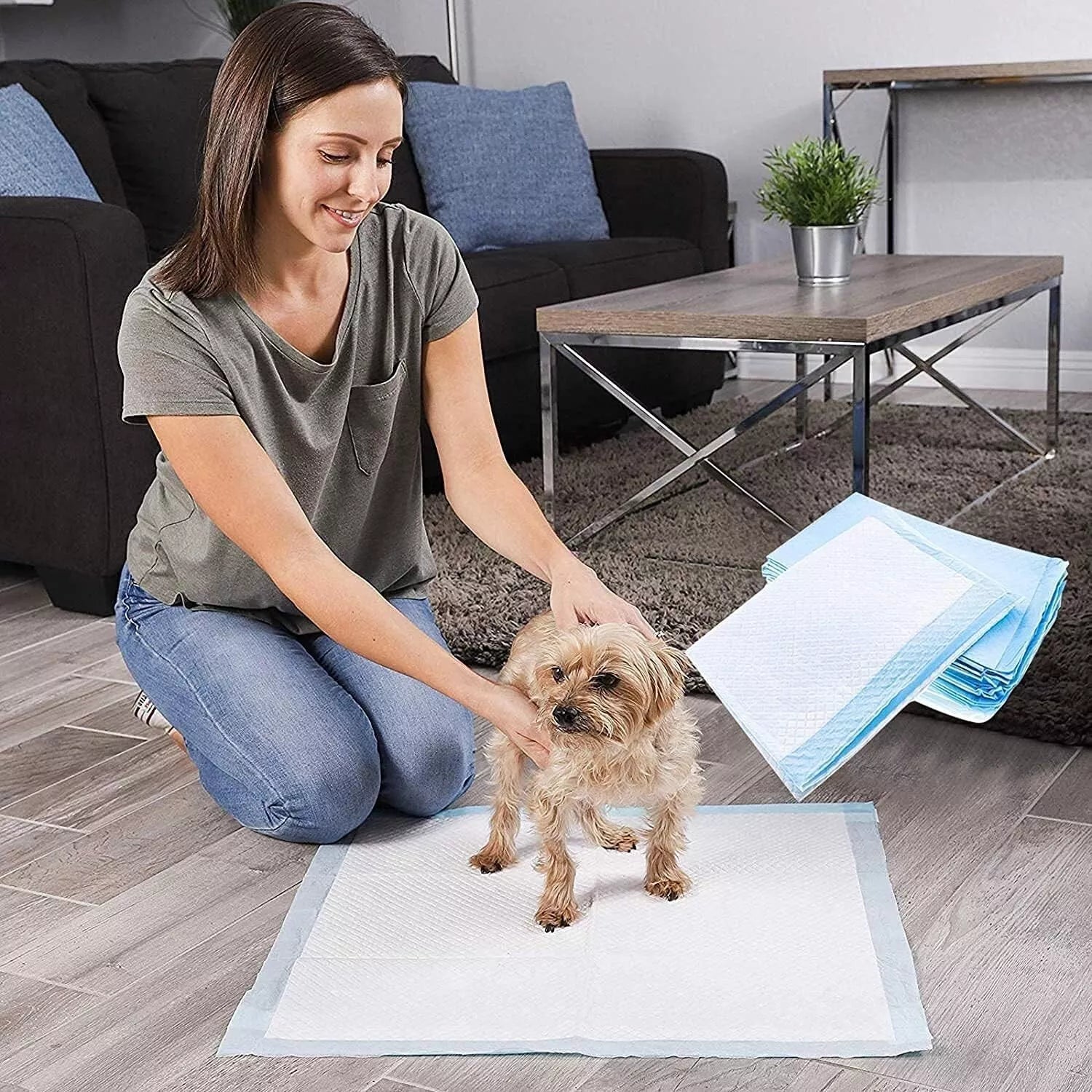 50 Pack Puppy Training Pads – Heavy Duty Super Absorbent Fast Drying Dog Toilet & Pee Pads
