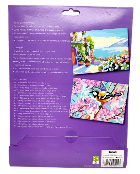 A4 Paint By Numbers Kids Children Art Painting Paint Brush Animals Birds Design
