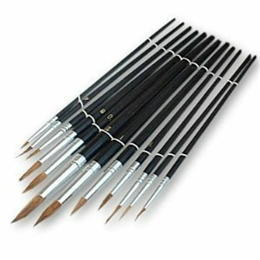 12 Piece Paint Brushes Set – Professional Round & Pointed Tip Brushes for Art, Acrylic, Watercolour & Craft Painting