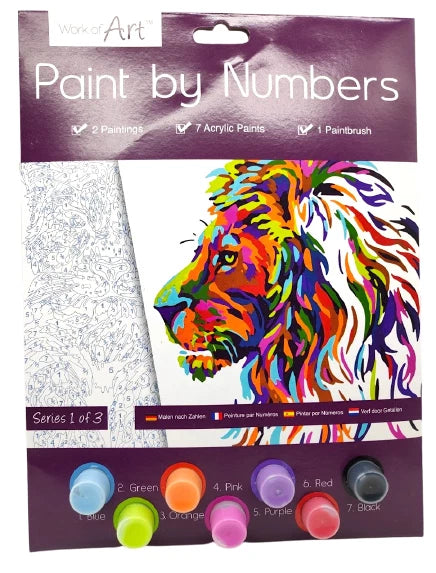 A4 Paint By Numbers Kids Children Art Painting Paint Brush Animals Birds Design
