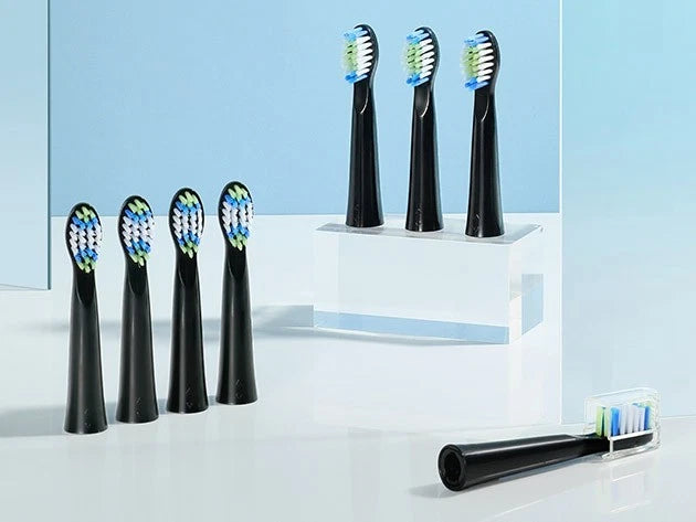 Fairywill E10 Electric Toothbrush Sonic USB Rechargeable 5 Modes 8 Heads Black