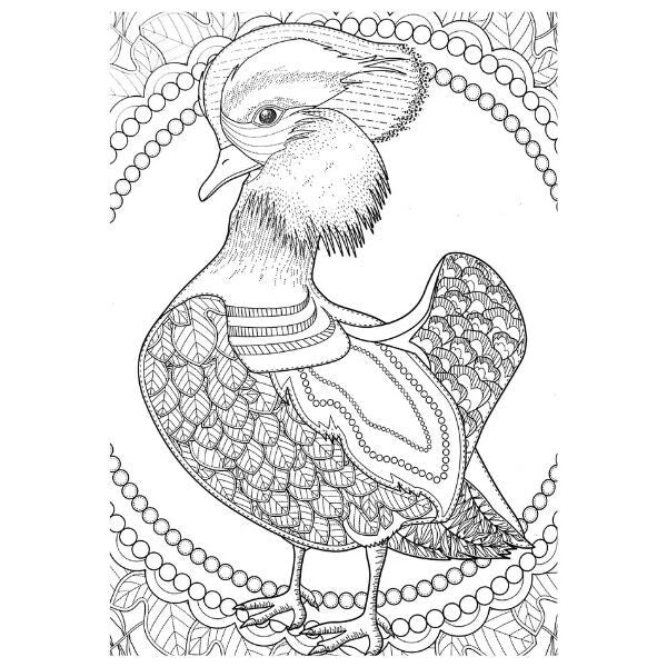 A4 Colouring Books Kids Adults Anti Stress Relief Mind Relaxation Colour Therapy
