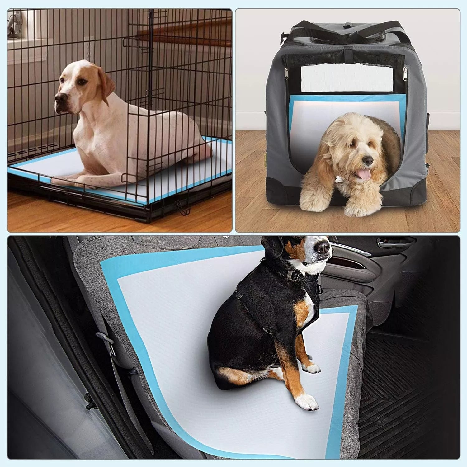 50 Pack Puppy Training Pads – Heavy Duty Super Absorbent Fast Drying Dog Toilet & Pee Pads