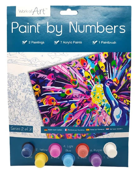 A4 Paint By Numbers Kids Children Art Painting Paint Brush Animals Birds Design