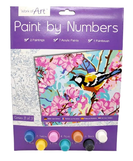 A4 Paint By Numbers Kids Children Art Painting Paint Brush Animals Birds Design