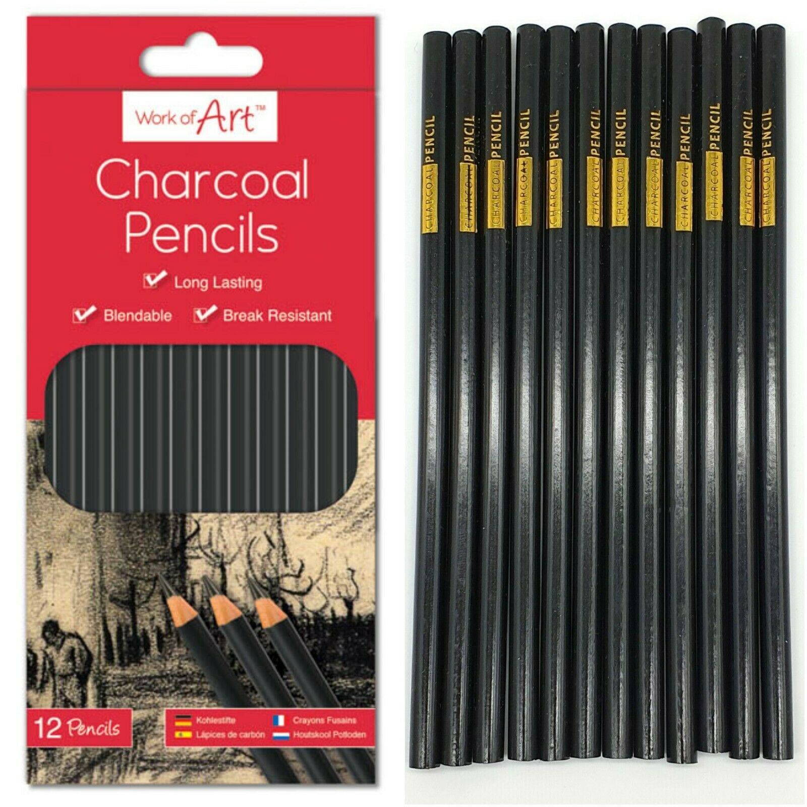 12 Pack Artist Charcoal Pencils Set – Drawing, Sketching & Shading Pencils for Art, Tone & Detail Work