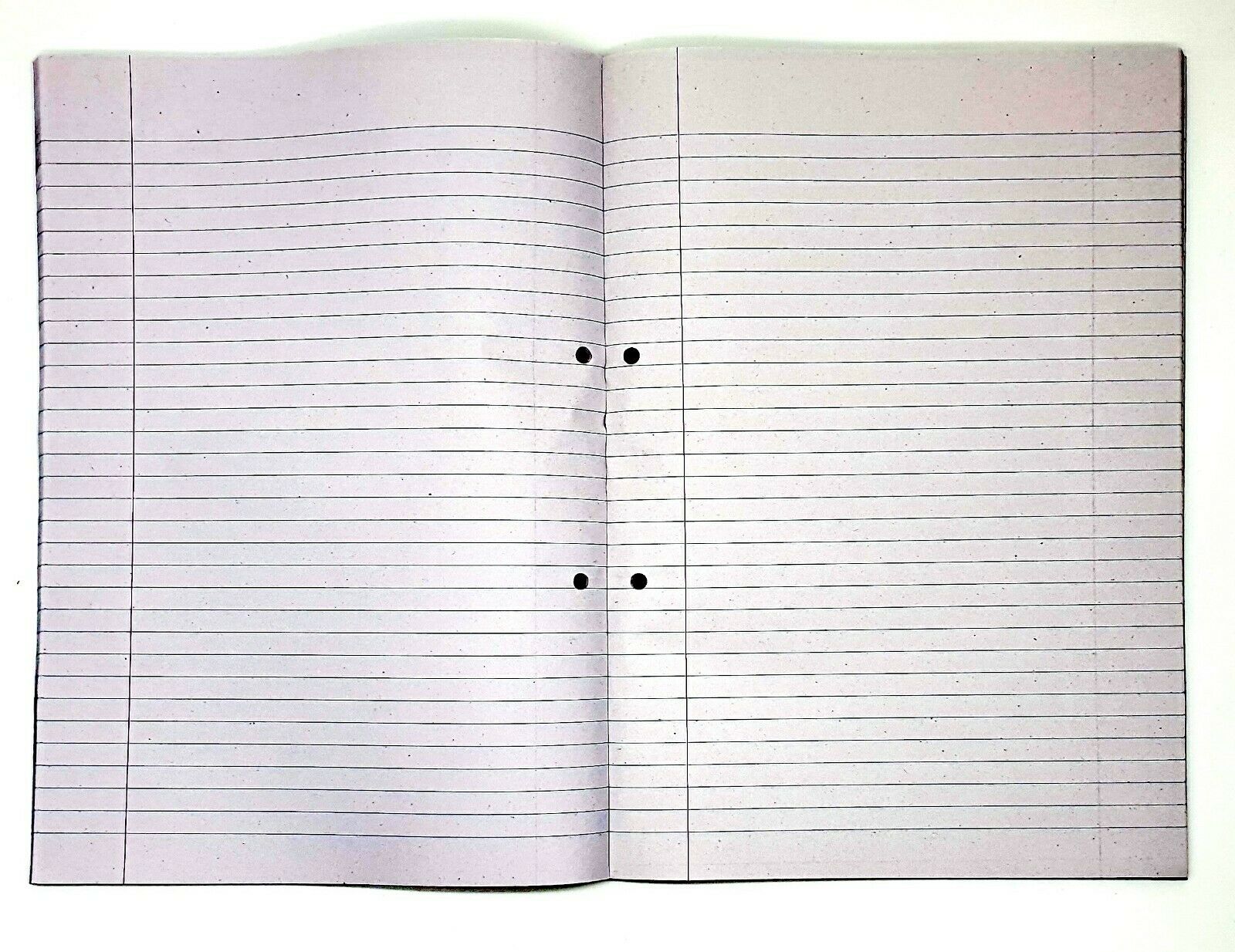 A4 Refill Pad Ruled 100 Pages with Margin – Punched Hole Lined Writing Notebook for School, College & Office Notes